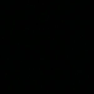 Meet your Posher, Eva